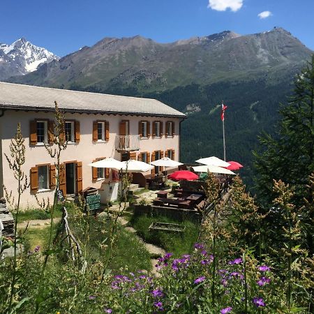 Edelweiss Mountain Guest House - 1 Hour Hike Up From Zermatt Station - On Hiking Trail - No Transport Exterior foto